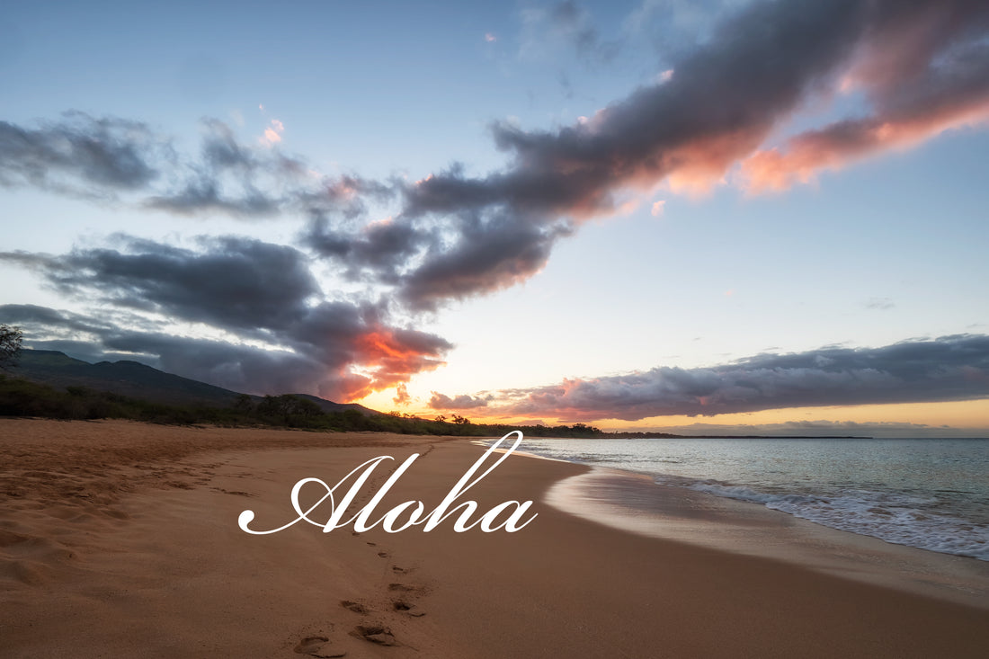 ALOHA Part I: Welcome back to the Blog!