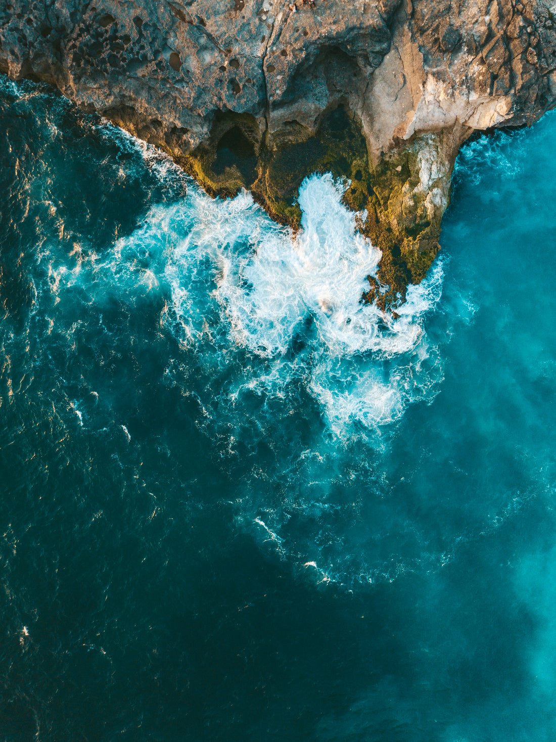 ALOHA Part II: Eco Meets Rock and Roll