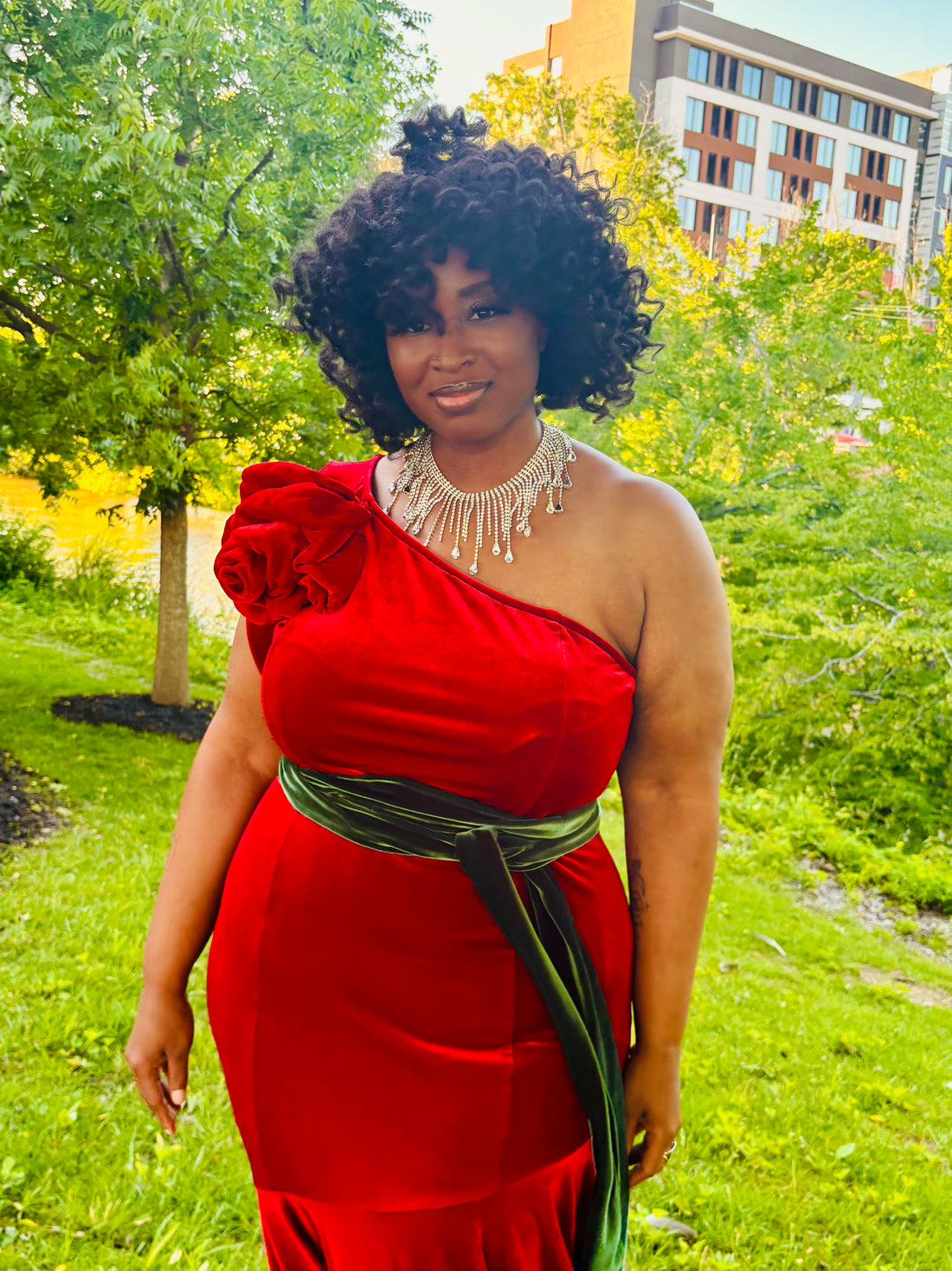 Roses Red Velvet Dress