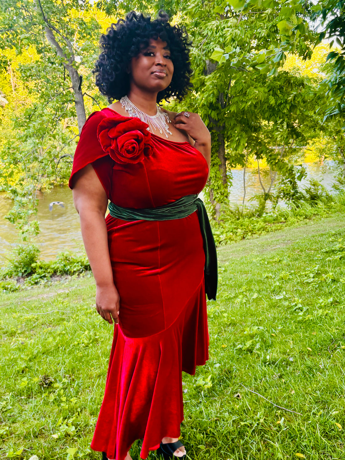 Roses Red Velvet Dress